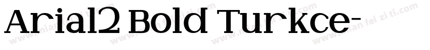 Arial2 Bold Turkce字体转换